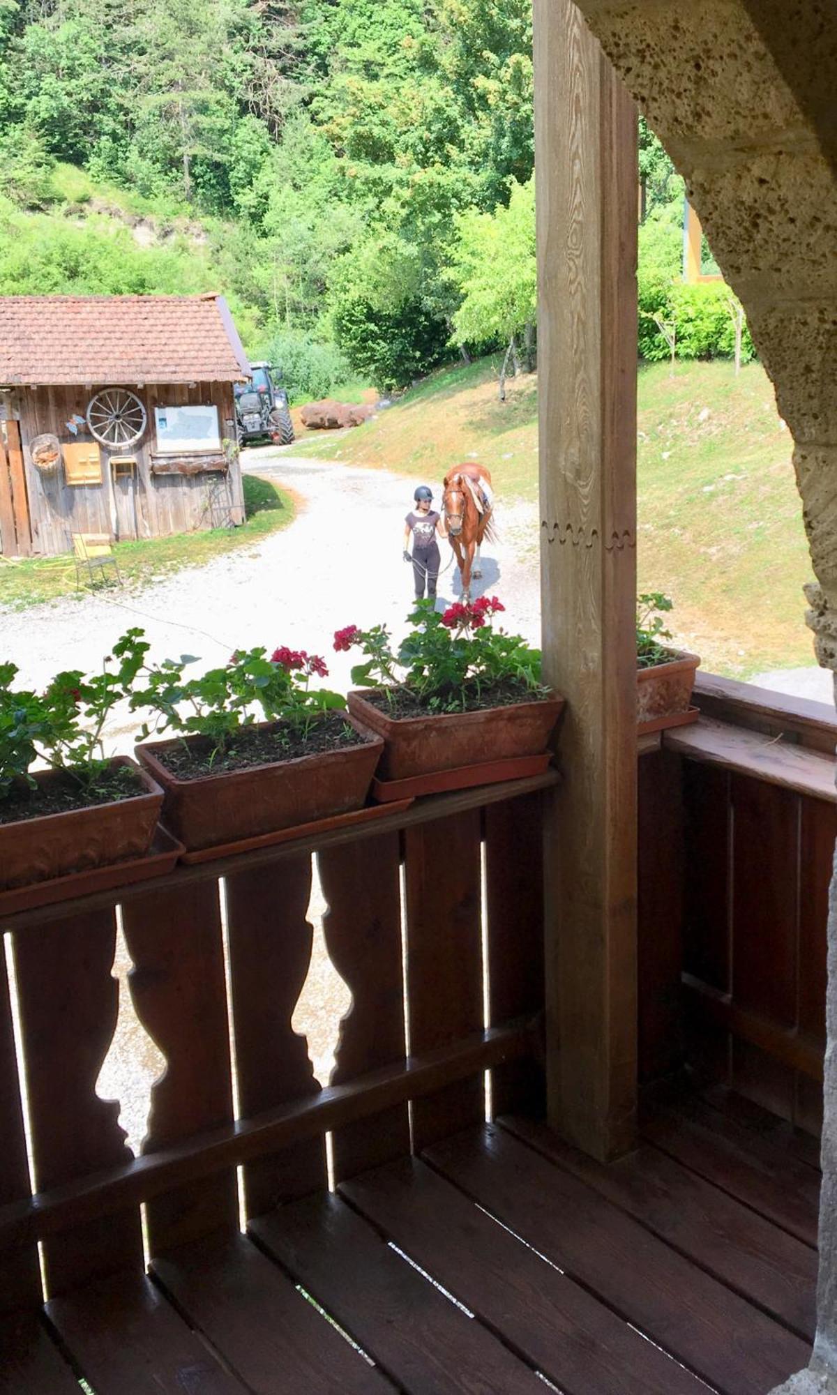 Agriturismo Randis Piano dʼArta Εξωτερικό φωτογραφία