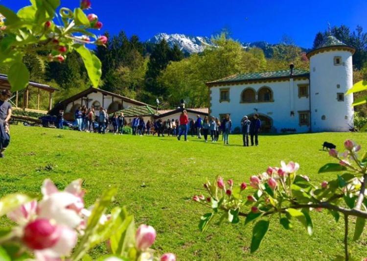 Agriturismo Randis Piano dʼArta Εξωτερικό φωτογραφία