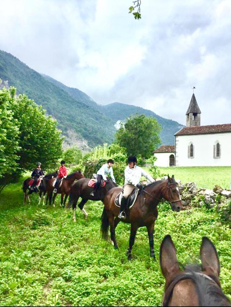 Agriturismo Randis Piano dʼArta Εξωτερικό φωτογραφία