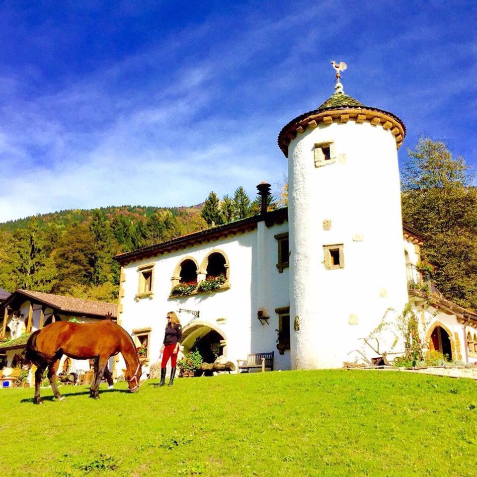 Agriturismo Randis Piano dʼArta Εξωτερικό φωτογραφία
